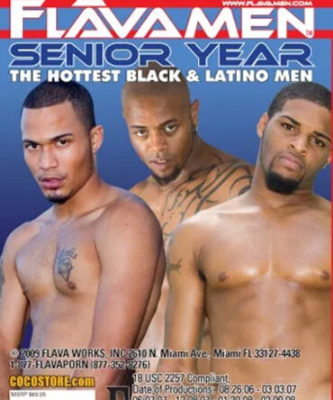 FlavaMen