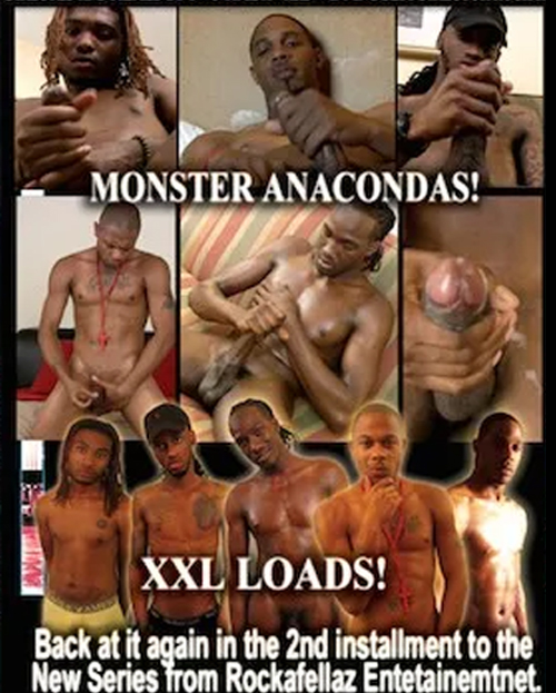 New Nuts On The Block #2