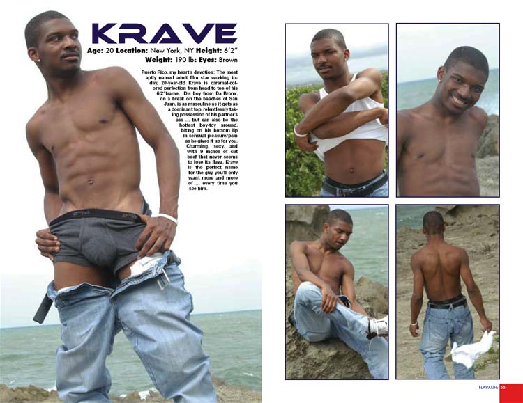 FLAVALIFE MAGAZINE - ONE YEAR SUBSCRIPTION (6 issues) - Image 4